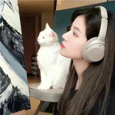 夏日恋曲